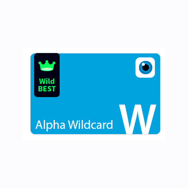 보안인증서 GlobalSign Alpha WildCard 1년 (인증지원)