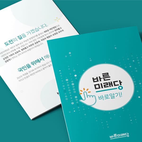 바른미래당 2단 안내 브로셔
