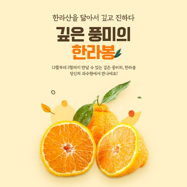 당신의 과수원(한라봉) 상세페이지