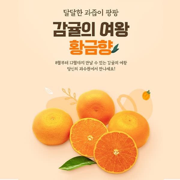당신의 과수원(황금향) 상세페이지